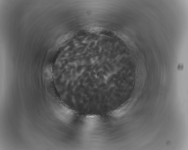 X0000090710240200708101512