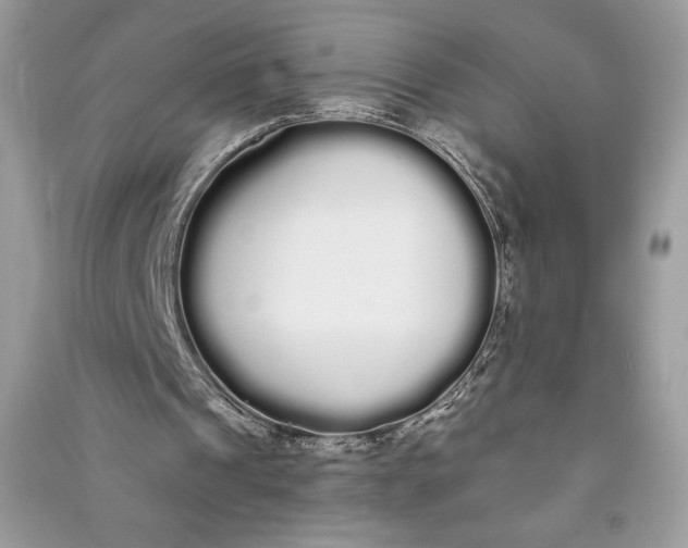 X0000090710241200708101512