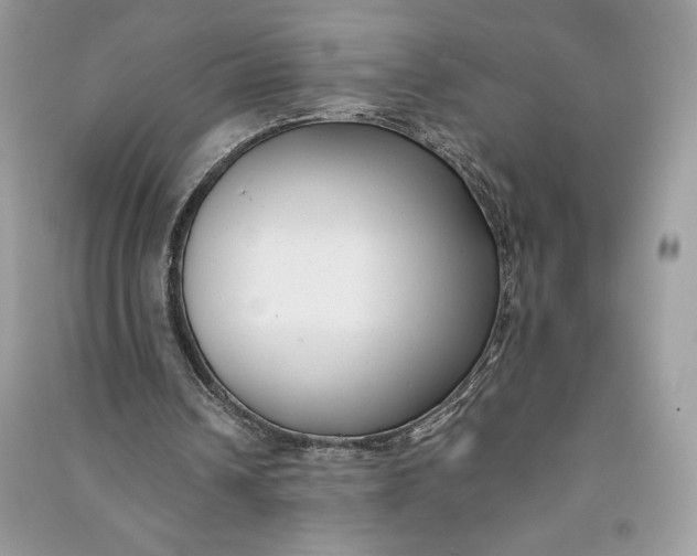 X0000090710242200708101512