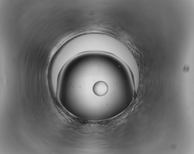 X0000090710244200708101512