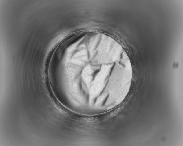 X0000090710245200708101512