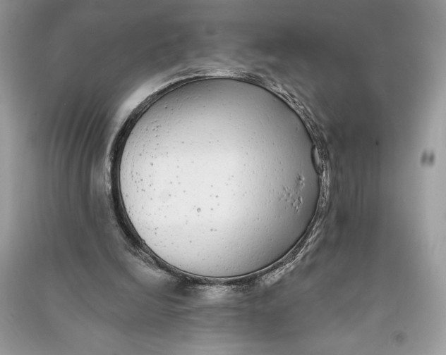 X0000090710246200708101512