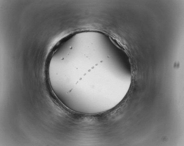 X0000090710248200708101512