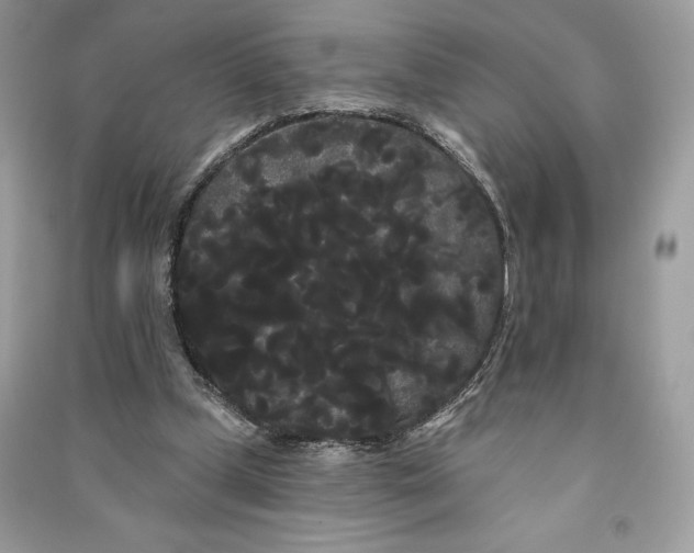 X0000090710249200708101512