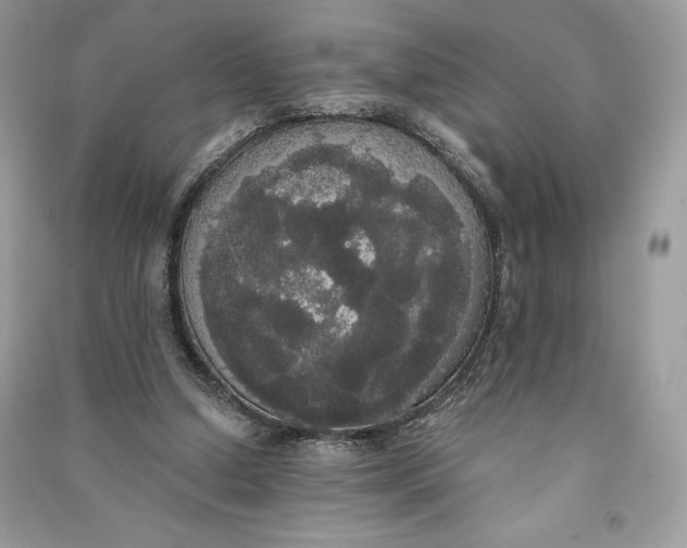 X0000090710250200708101512