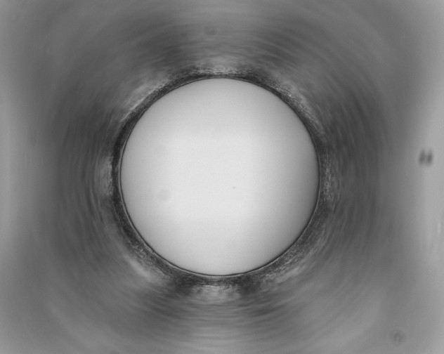 X0000090710251200708101512