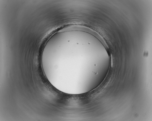 X0000090710252200708101512