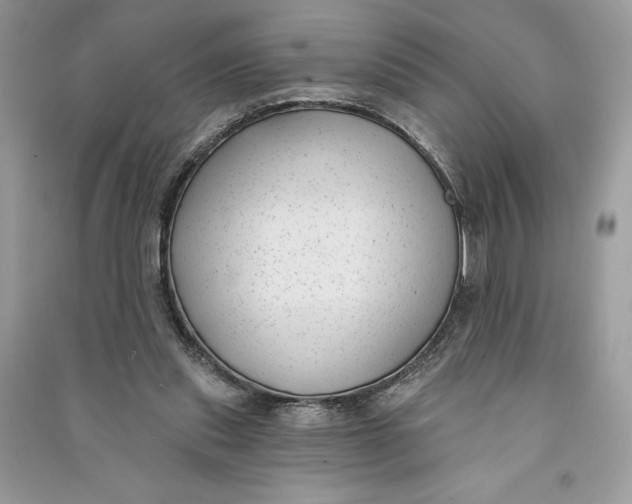 X0000090710253200708101512