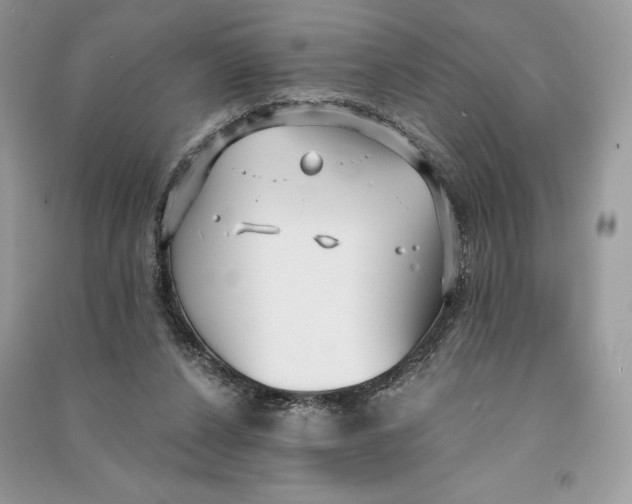 X0000090710256200708101512