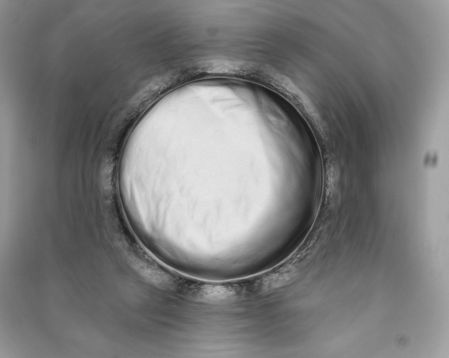 X0000090710257200708101512