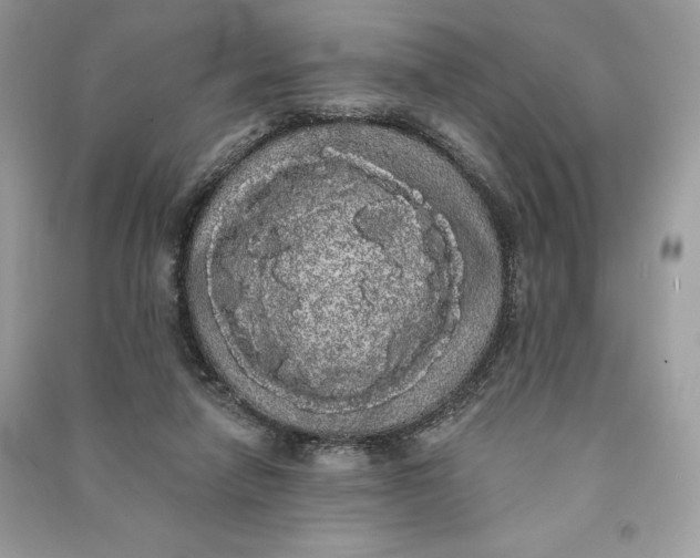 X0000090710258200708101512