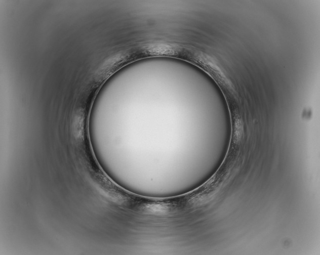 X0000090710259200708101512