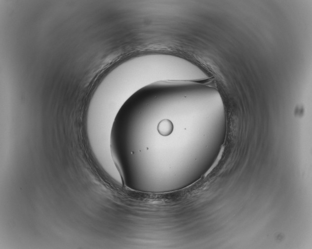 X0000090710260200708101512