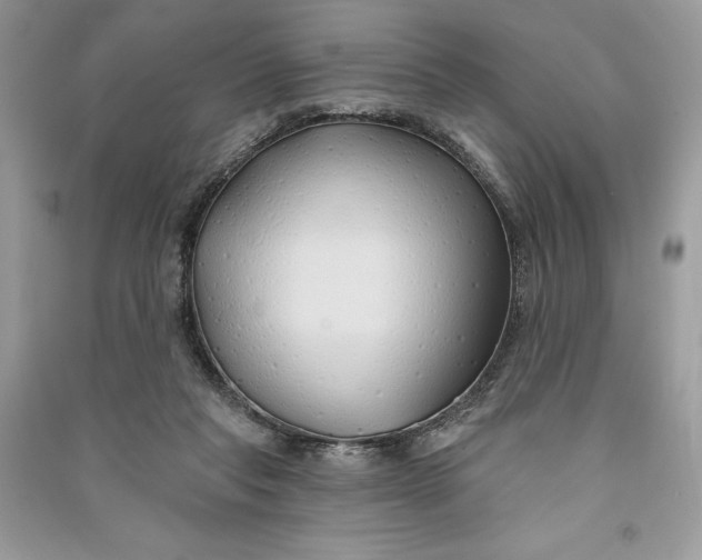 X0000090710261200708101512