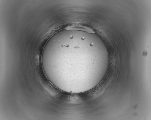 X0000090710262200708101512