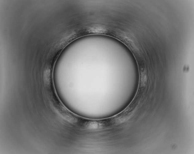 X0000090710263200708101512