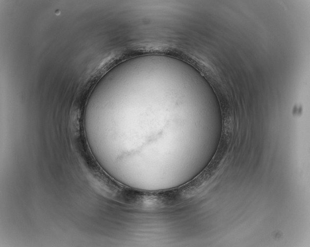 X0000090710264200708101512