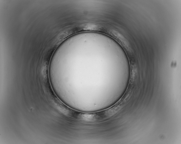 X0000090710265200708101512