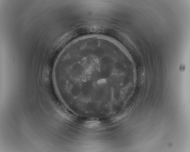 X0000090710266200708101512