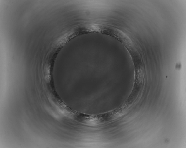 X0000090710267200708101512