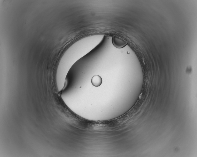 X0000090710268200708101512