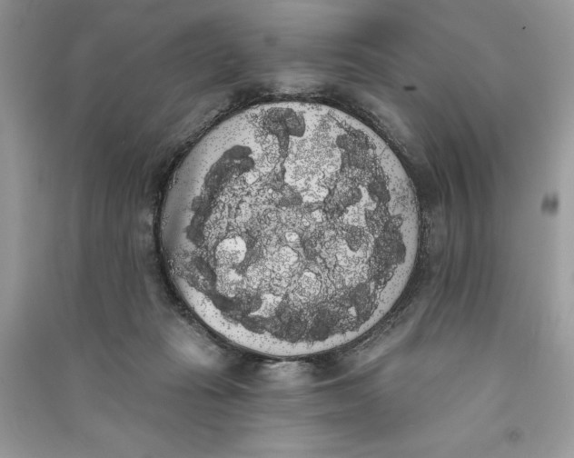 X0000090710269200708101512