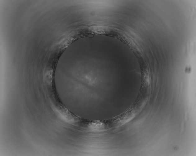 X0000090710271200708101512