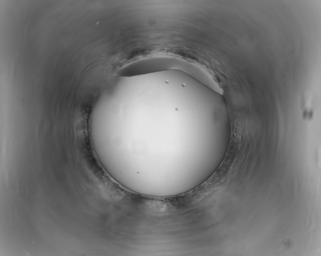 X0000090710272200708101512