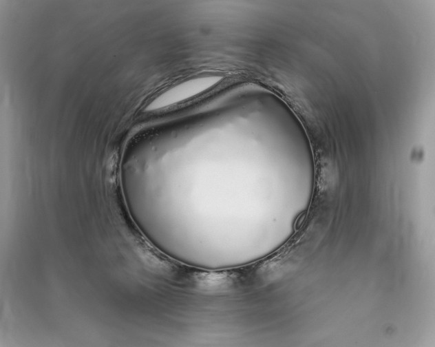 X0000090710273200708101512