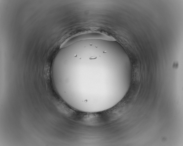 X0000090710274200708101512