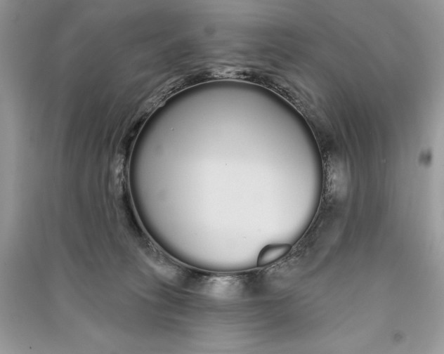 X0000090710275200708101512