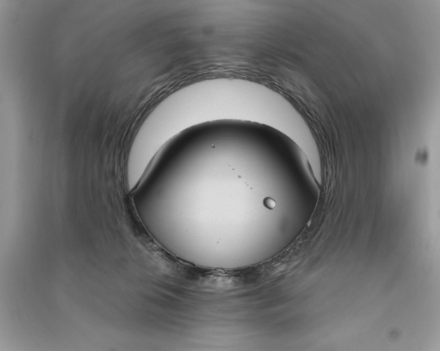 X0000090710276200708101512