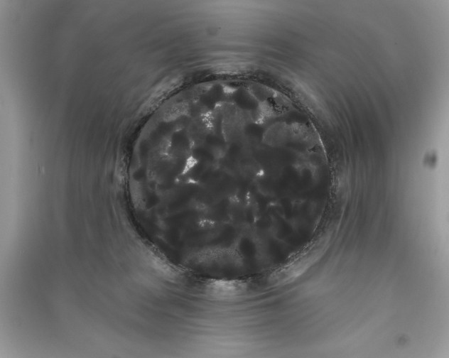 X0000090710277200708101512