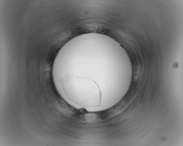 X0000090710279200708101512