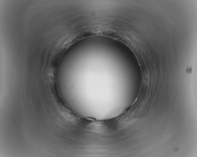 X0000090710280200708101512