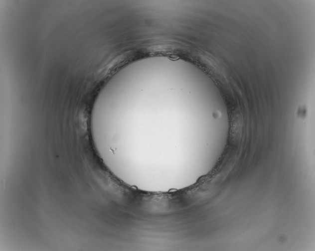 X0000090710282200708101512