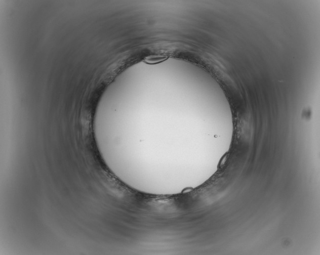 X0000090710283200708101512