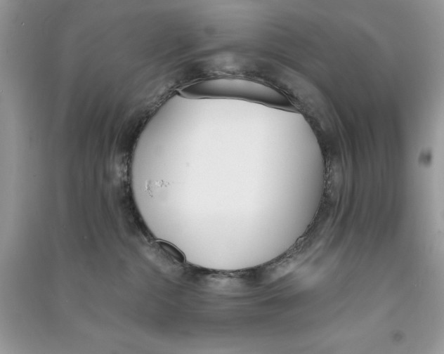 X0000090710284200708101512