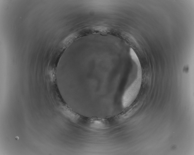 X0000090710285200708101512