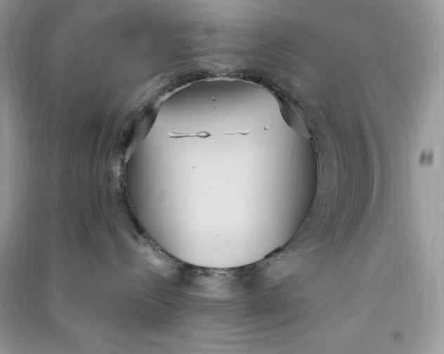 X0000090710288200708101512