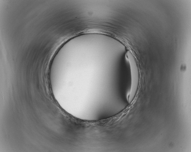 X0000090710289200708101512