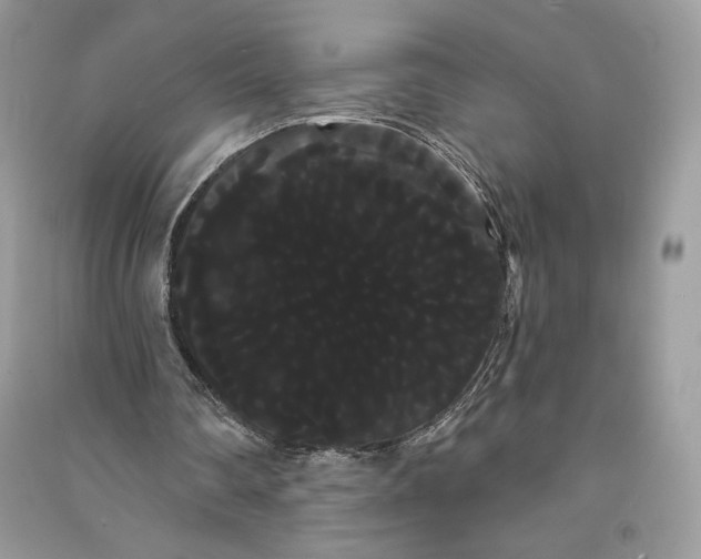 X0000090710290200708101512