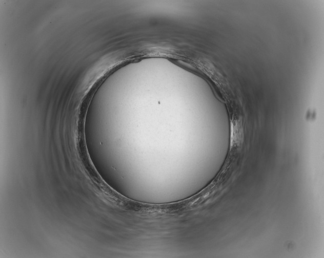 X0000090710291200708101512