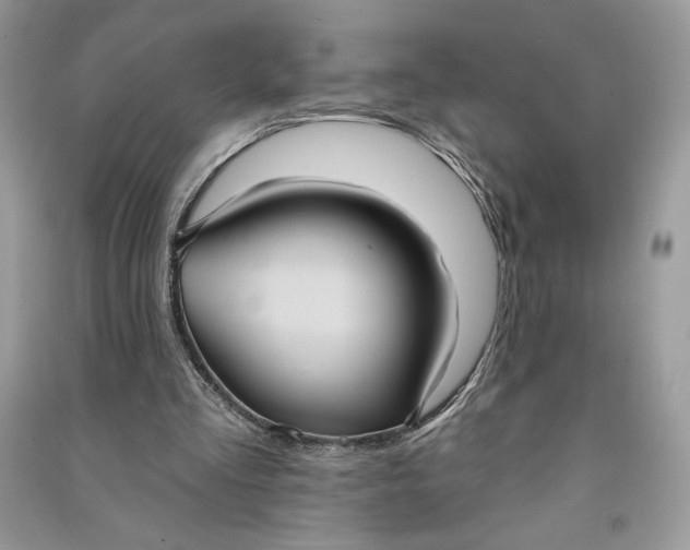 X0000090710293200708101511