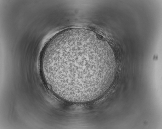 X0000090710294200708101511