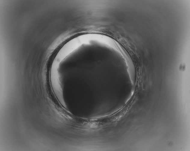 X0000090710295200708101511