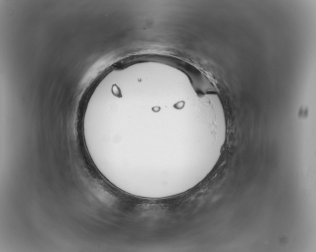 X0000090710296200708101511