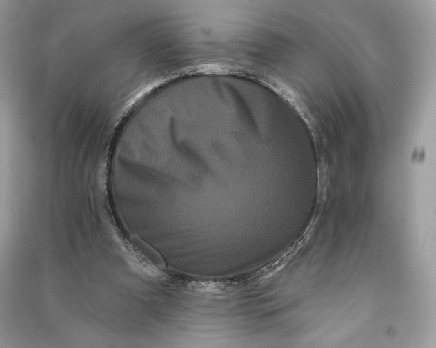 X0000090710297200708101511