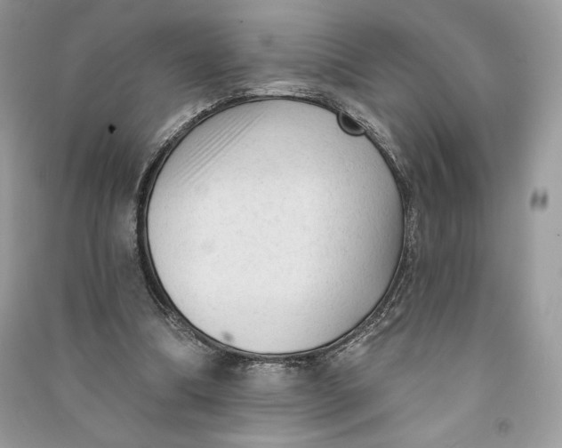 X0000090710298200708101511