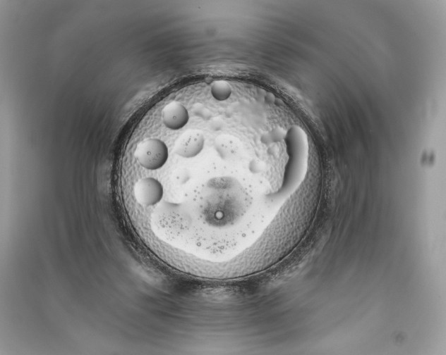 X0000090710299200708101511